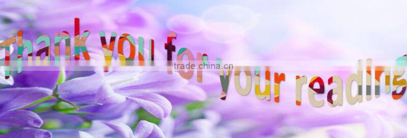 Cute cotton baby ruffle bloomer with bowknot infant diaper cover wholesale children's boutique clothes