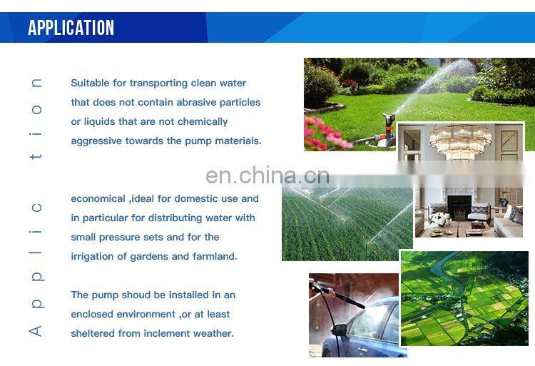 1hp 0.75kw low power bigger suction self priming peripheral pump for sale