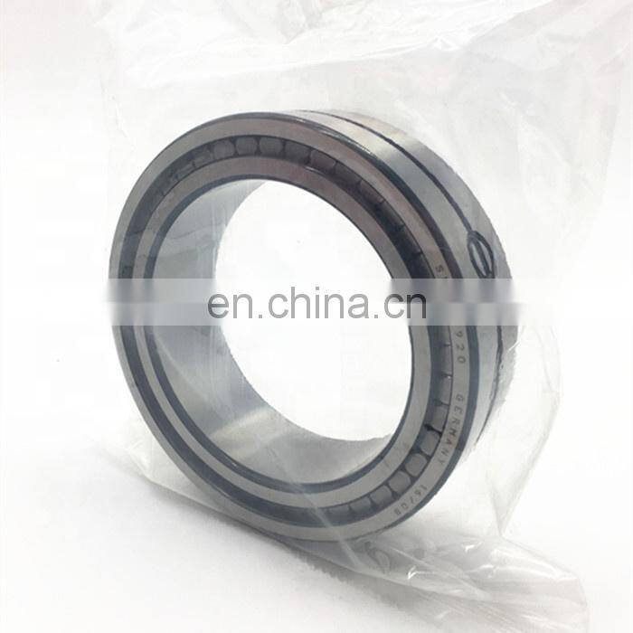 Double Row Full Complement Cylindrical Roller Bearing SL18 5013 SL185013