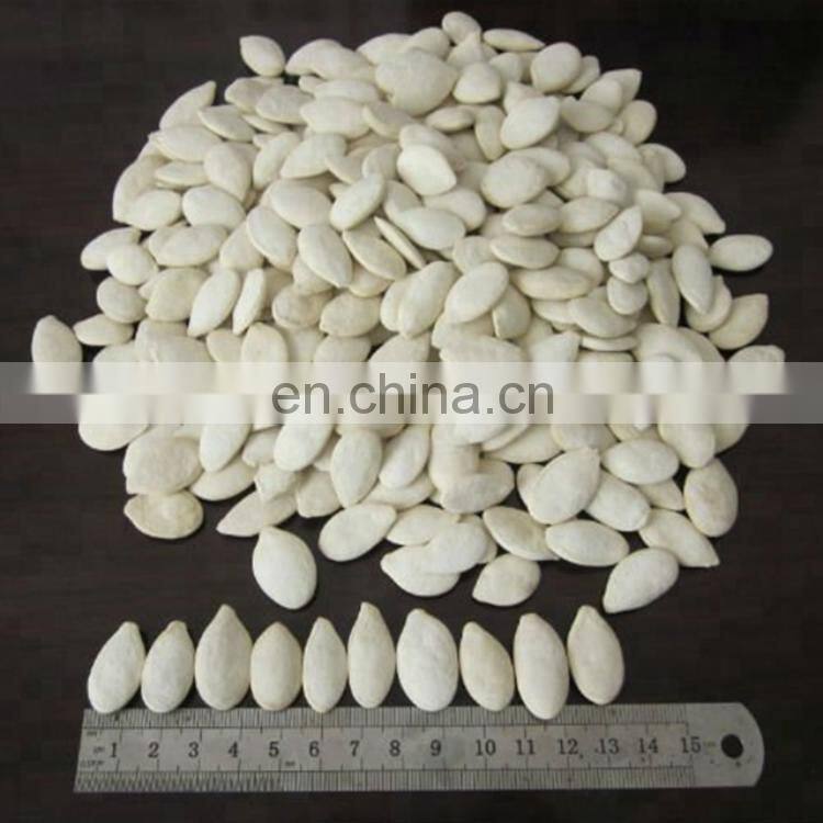 sunflower seed 361 china bigs sunflower seeds bulk