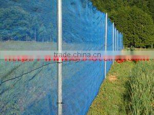 square mesh anti-wind net