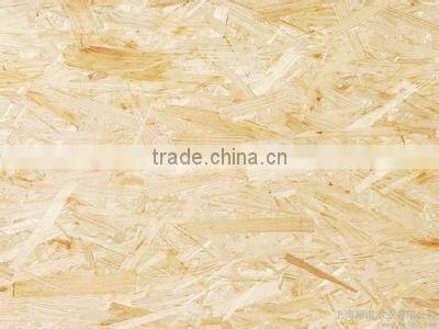 professional manufacturer 9mm,12mm,15mm,18mm osb cheap and waterproof osb on China market