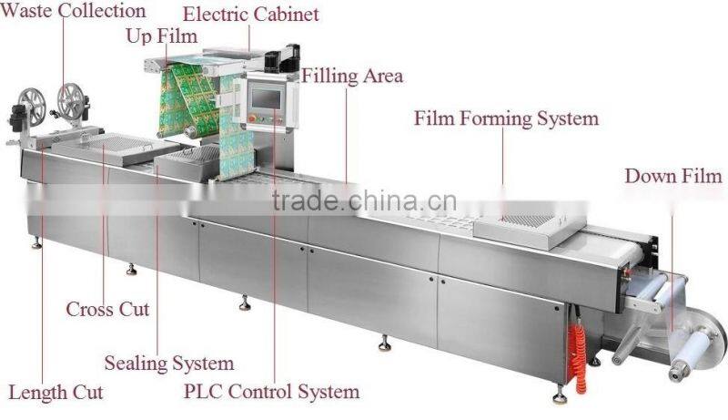automatic thermoformer / packing pizza machine