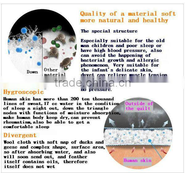 2015 New Style White Goose Down Comforter