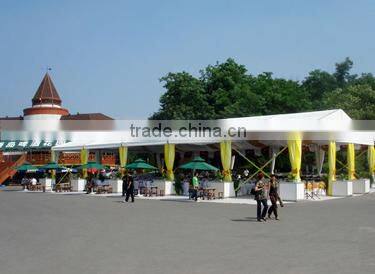 Tent Material PVC Transparent