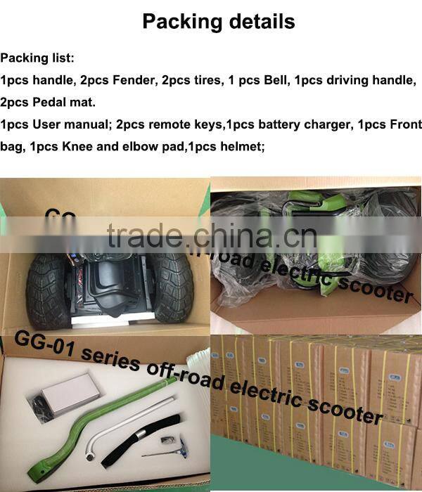 Factory outlet 2 wheel stand up electric chariot x2