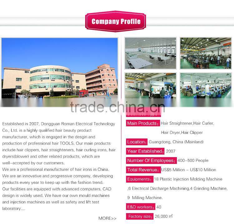 Ceramic Professional Salon hair dryer