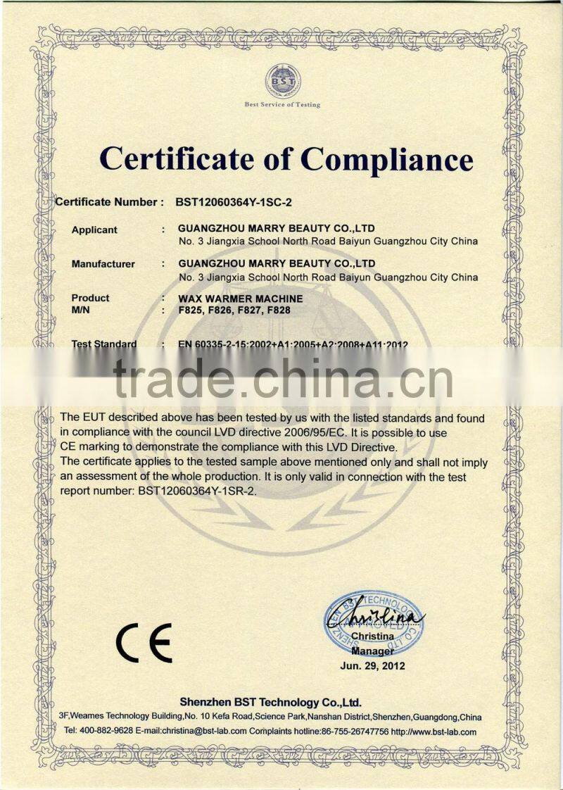 Home Waxing Product Wax Warmer