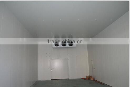 Hot Selling High Quality Freezer Room for Meat