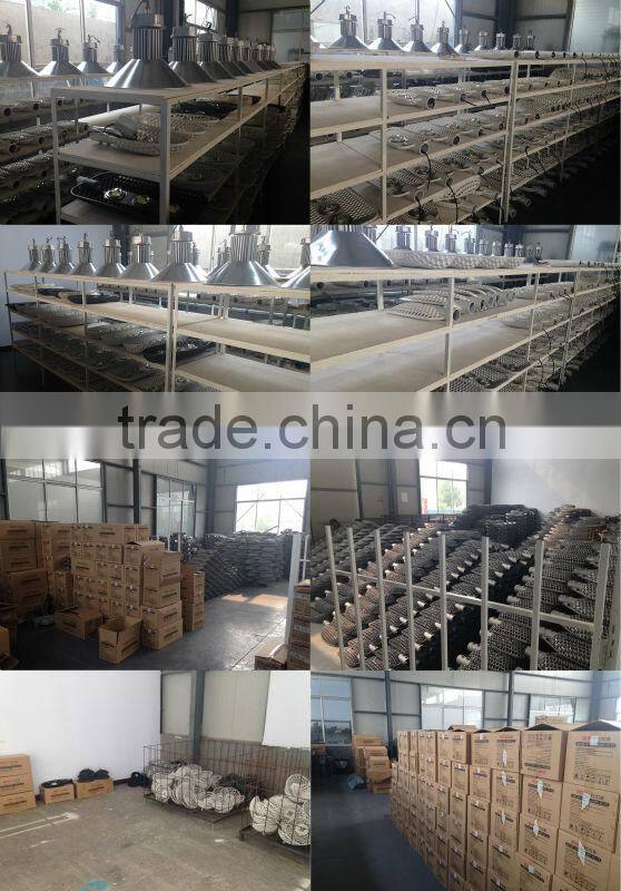 110V / 220V Input LED Flood light with Meanwell driver