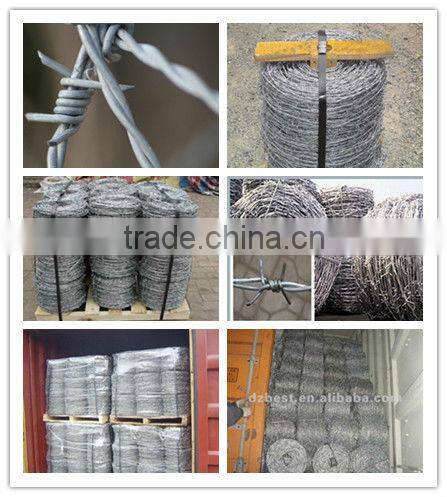 galvanized twist barbed wire