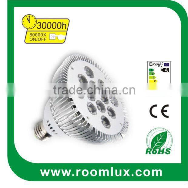 LED PAR30 12W