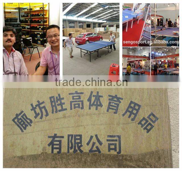 Mini high quality sports equipment/portable children folding legs tennis table