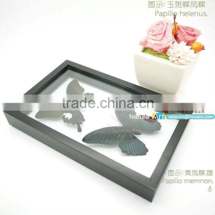 FOUSEN(043) Nature& Art natural species hotel front door decoration