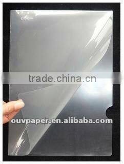 Colourful transparent L folder