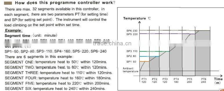 PID programme temperature controller