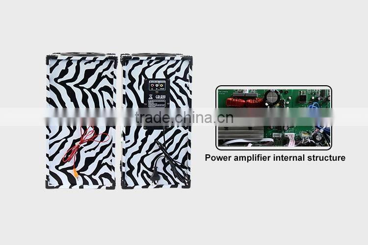 Hottest Disco Bass Speaker 6.5 inch Dance Club Speakers MP3 Player