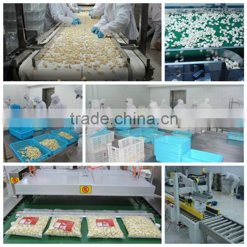 Peeled Garlic Vacuum Pack for Europe Market