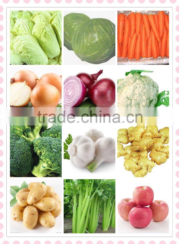 fresh red onion from China