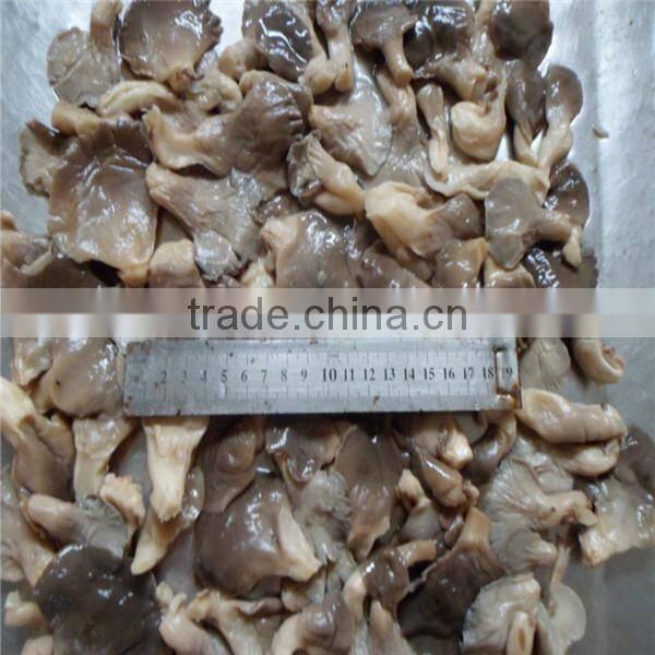 Chinese 1kg mix mushrooms kinds of oyster mushrooms mushroom for sale