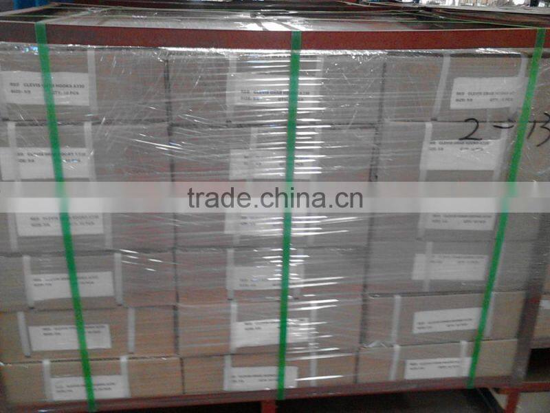 High Quality Galvanized Clevis Slip Hook with Latch