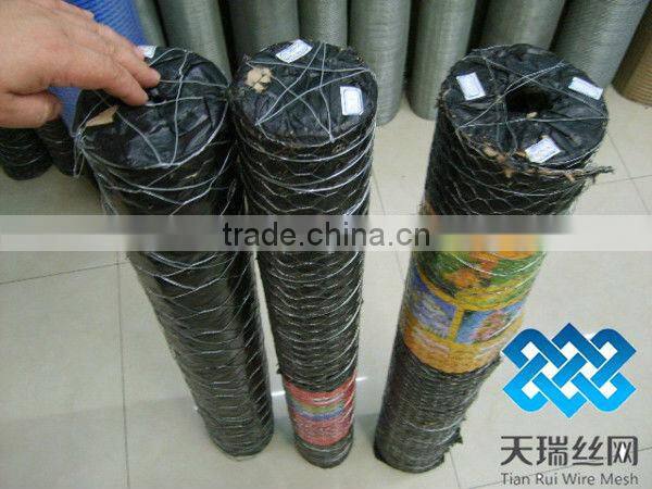 Hexagonal chicken wire mesh/ hexagonal wire netting/ Hexagonal wire mesh