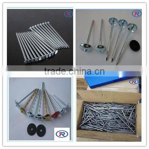 common iron nail for construction/common wire nails