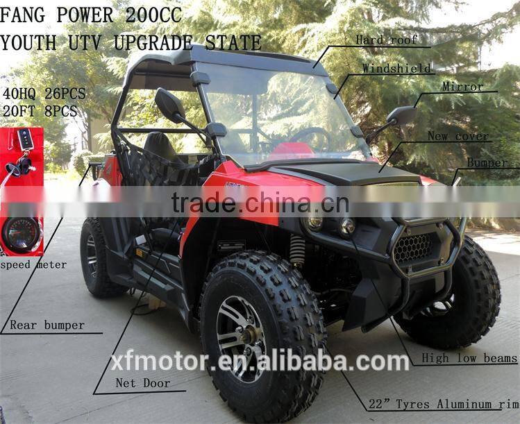 chinese utv 2x4