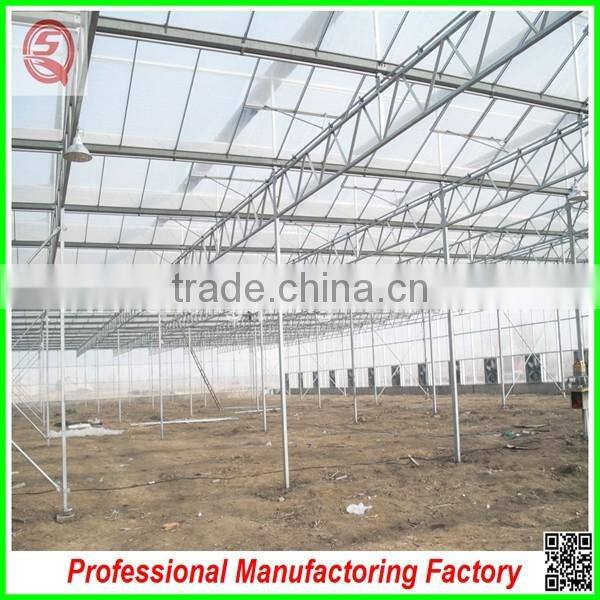 Hot sale 12m multi-span glass greenhouse grow tent for vegetables