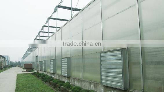 Greenhouse Ventilation Exhaust Cooling Fan