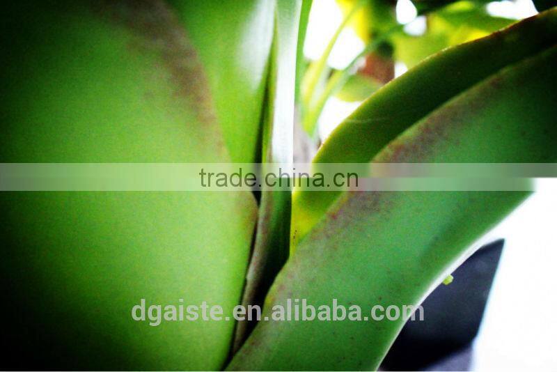 Y8463-15-1LS( 2014 hot sale Factory direct Extra large banana trees for hotel decoration )