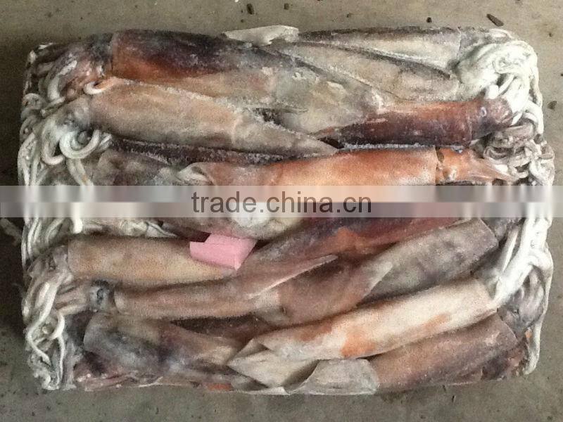 Frozen whole round illex squid sea frozen illex squid