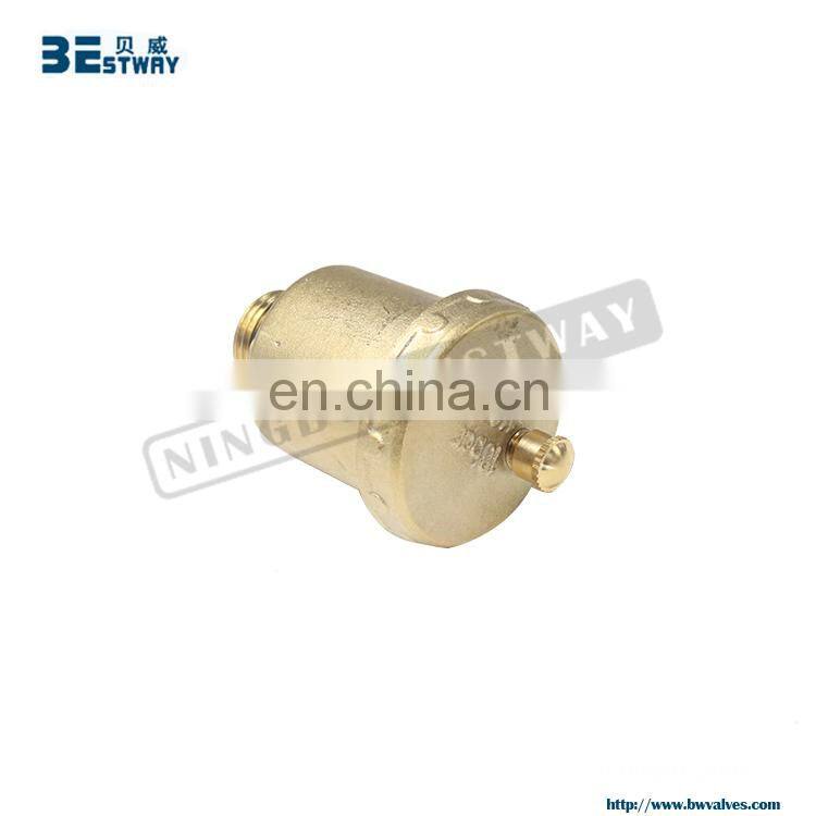 BWVA Good Reputation Factory most attractive safty valve