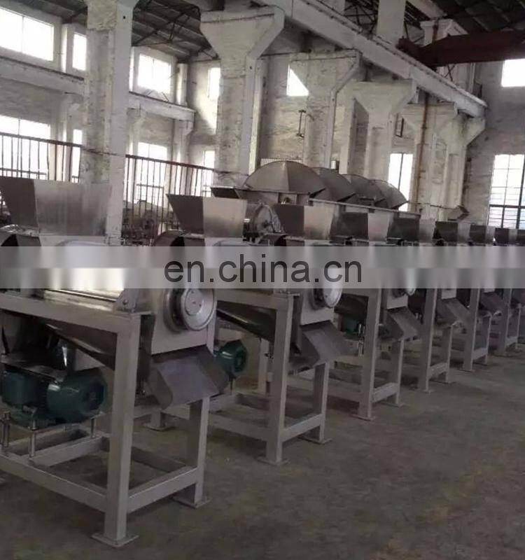 Commercial Automatic Apple Juicer Machine / Ginger Juicer Extractor Machine / Juicer Extractor Machine