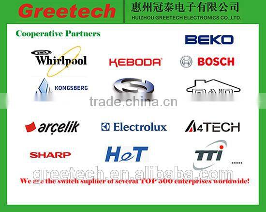 16a 250v micro switch, zing ear micro switches