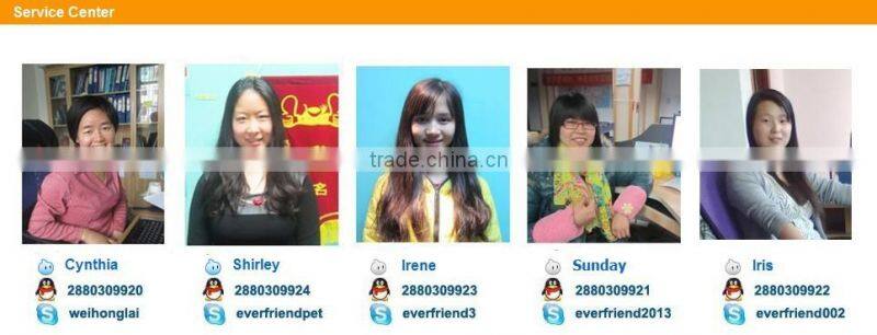 2014 new cat dog pet toy,my lovely pet toys,pet toy with squeaker