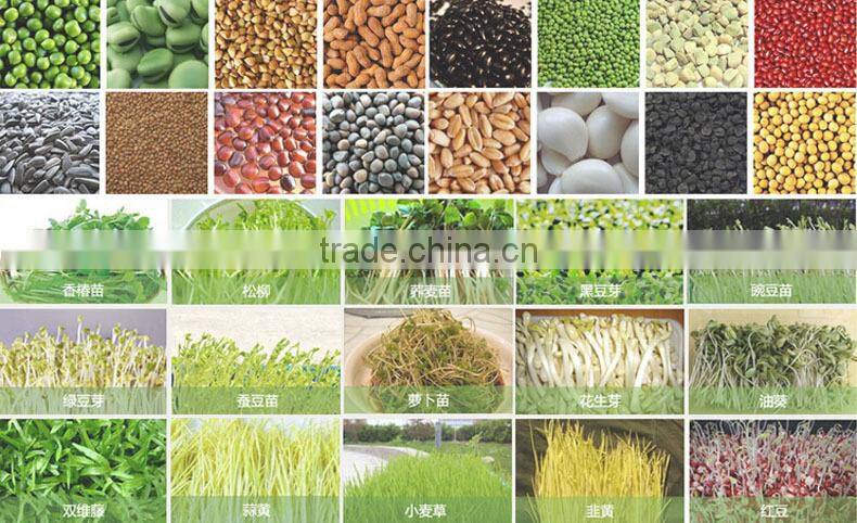 Automatic Bean Sprout Machine With CE