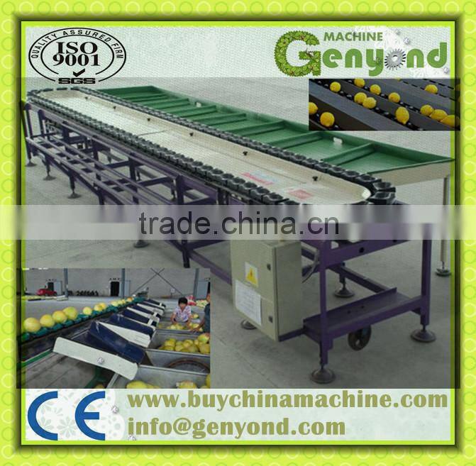 stainless steel small fruit weight sizing machine