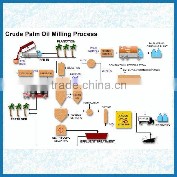 Automatic palm fresh fruit oil pressing machine,palm oil processing line