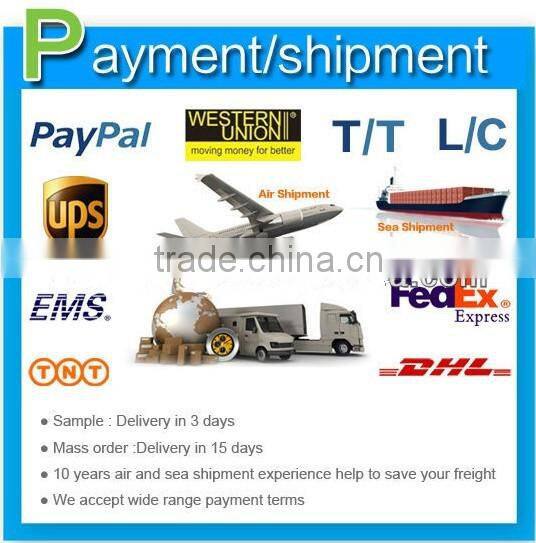 Air purifier car charger with dual usb charger