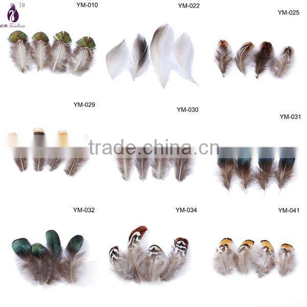 black feather bulk,plumas pheasant