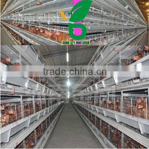 chicken battery cages