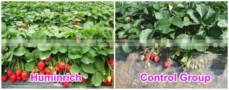 Huminrich 100% Water Soluble Organic Potassium Humate Best Fertilizer For Strawberry