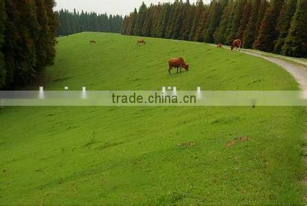 chinese slope hydroseeding and grass seeds planting machine price