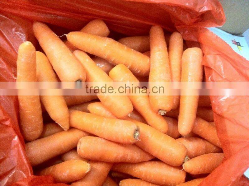 Fresh Carrots