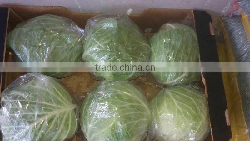 GIMEX VIETNAM FRESH CABBAGE CHEAP