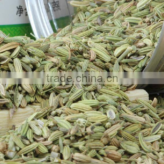 China supplier sales fennel seed from alibaba shop