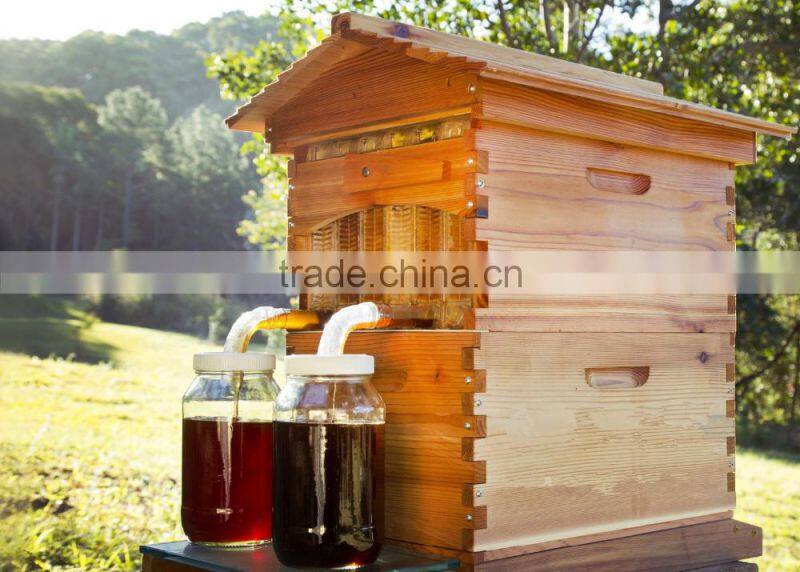 Zorue factory made Automatic flow honey beehive/flow bee hive
