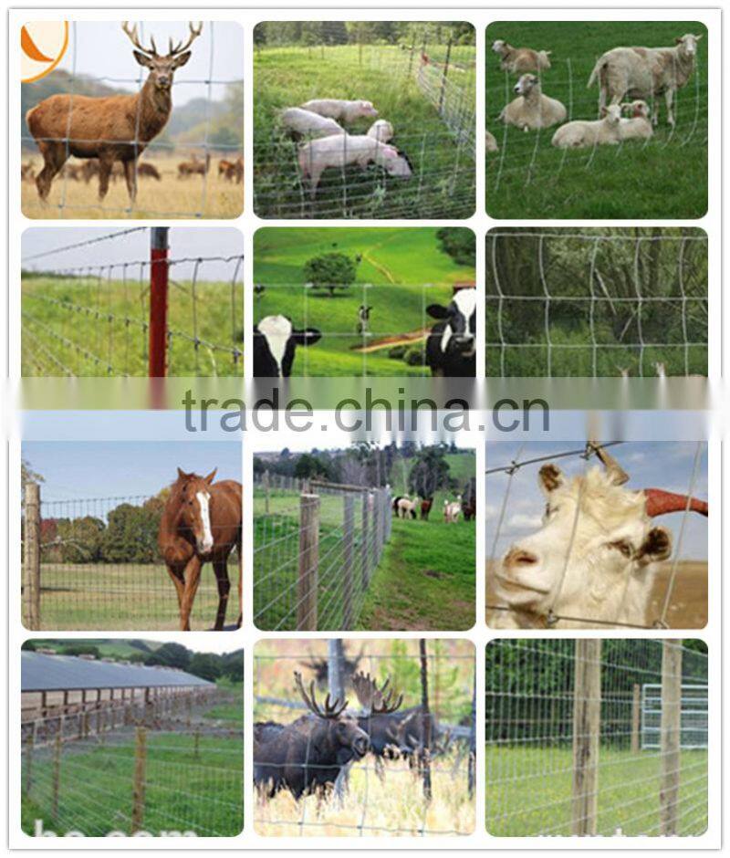 livestock field fence with high zinc coating
