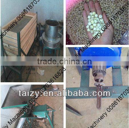 lotus seed machine//008618703616828